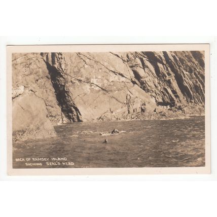 Back of Ramsey Island Showing Seal's Head Postcard Pembrokeshire Wales Mendus