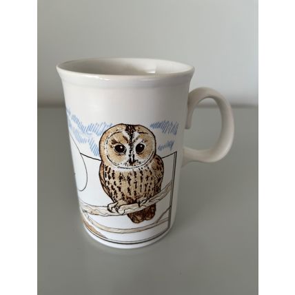 DUNOON BARN OWLS VINTAGE MUG