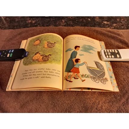 Ding Dong School Book The Robin Family By Miss Frances 1954 Great Shape