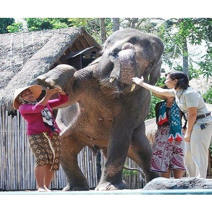 Bali Safari and Marine Park tour -Jungle Hopper Package