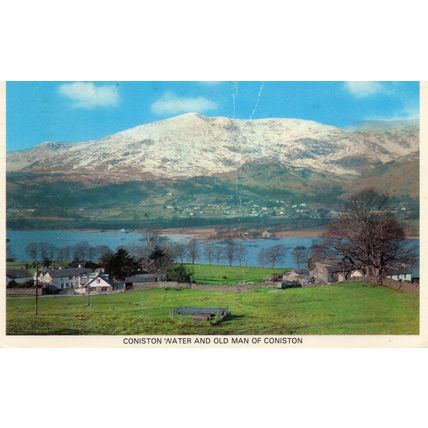 GENEALOGY Family History R Dunn Greville Rd Cambridge 1981 Postcard (EPH)