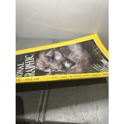 National Geographic Magazine July 1992 Mountain Lions - Vintage Collectable