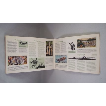 Brooke Bond Tea Card Album: 1976 Wonders of Wildlife, With All Cards