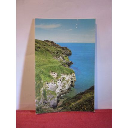 ELEPHANT ROCK, BOSSINEY COVE, TINTAGEL, CORNWALL .used postcard 1977 pm =
