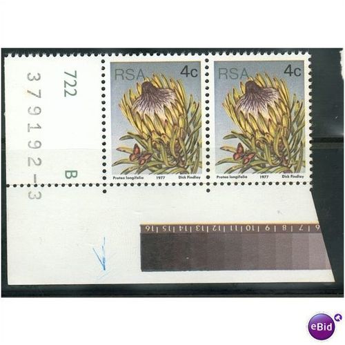 South Africa stamps 1977 - SG 417 - 4c P. longifolia x 2 MNH
