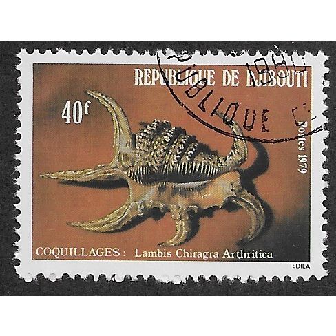 DJI 1979 40f 'SHELLS ' FINE USED (54-934)