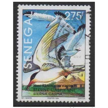 Sénégal 1994 Sterne Caspienne Kalissaye Vogel Oiseau Bird Yv. 1109 RARE