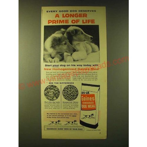 1956 Gaines Homogenized Dog Meal Ad - Every good dog deserves