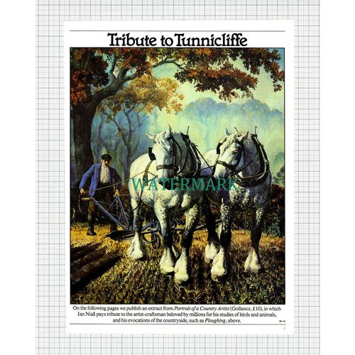 X1024) Tribute To Charles Tunnicliffe Country Artist - 1980 Article