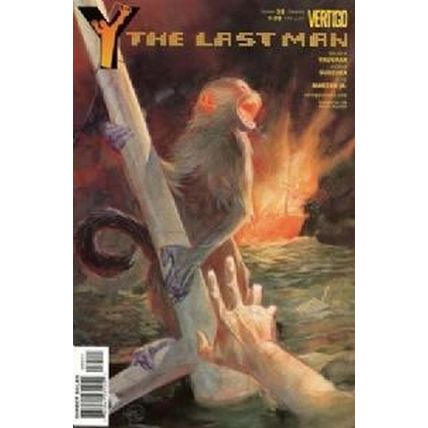 Y-The Last Man (Vol 1) # 035 NM MODERN AGE COMICS