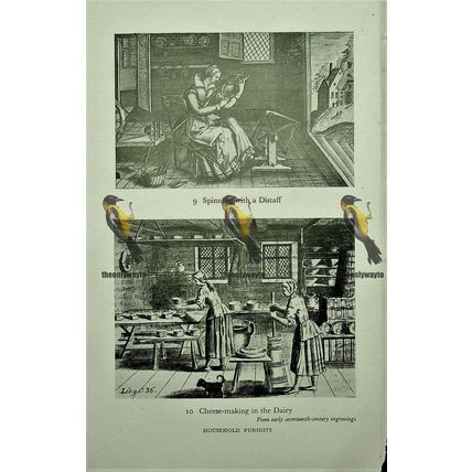 Art Of Husbandry 1685, (Reverse Household Pursuits) Book Illustration, 1949