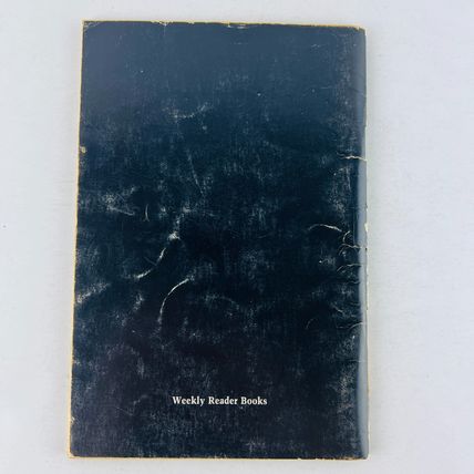 Beware, This House Is Haunted! Paperback Henry Dreher