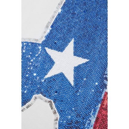 White Sequined Texas Graphic Plus Size T Shirt