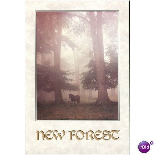 GB Postcard - New Forest - Hampshire, by Richard Kraus