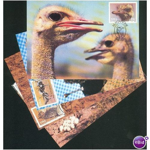 SWA SHS FDI PC's 1985 - The Ostrich