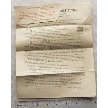 1894 report & balance sheet National Provident Institution