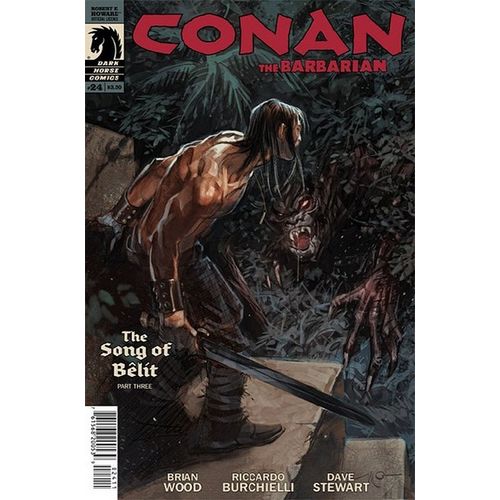 Conan (Dark Horse) (Vol 2) The Barbarian # 024 NM MODERN AGE COMICS