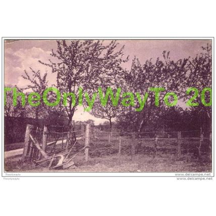 TREES IN BLOSSOM, ENGLAND, c1908, Postcard