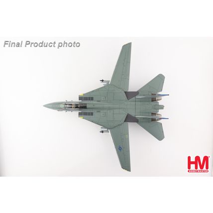 GRUMMAN F-14B TOMCAT OEF 163220 VF-143 "PUKIN DOGS" - HOBBY MASTER HA5243 1/72