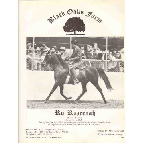 black oaks farm 1972 ro razeenah rabol rasray arabian stud vintage ad