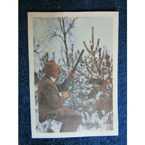 Unusual Sports 1968 ~ Jacques Chocolates Belgium Sports Sticker Variants (e9)