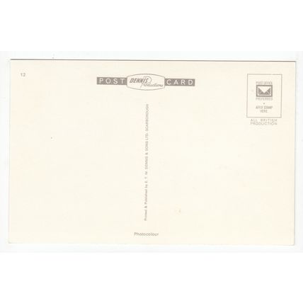 The Italian Gardens Trentham Staffordshire Postcard 4208