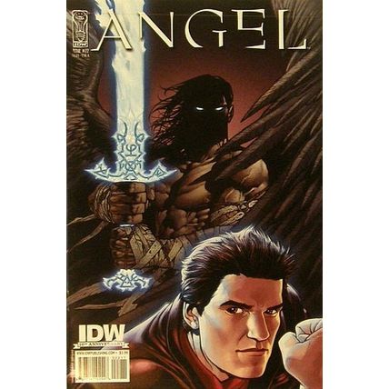Angel: After the Fall # 022 NM (CvrA) MODERN AGE COMICS