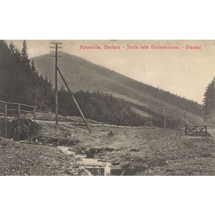 Hahneklee Im Oberharz Hohenluftkurort German Old Postcard