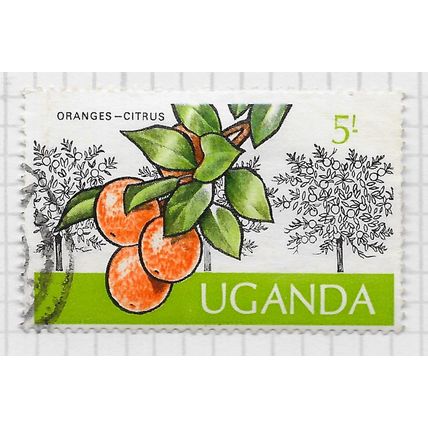 UGANDA 1975 UGANDAN CROPS ORANGES CITRUS FRUIT VEGETABLES FOOD 5/- USED