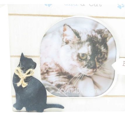 Cat Photo Frame Wooden All You Need is Love & a Cat 19 CM Home Decor Gift Feline