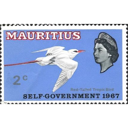 MAURITIUS, BIRD, Red-tailed Tropicbird, Phaethon rubricauda, blue 1969, 2c