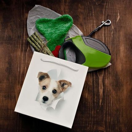 5 Pack of Gift Bags for Dog Lovers-Rope Handles-Reusable & Biodegradable-7"x7.5"