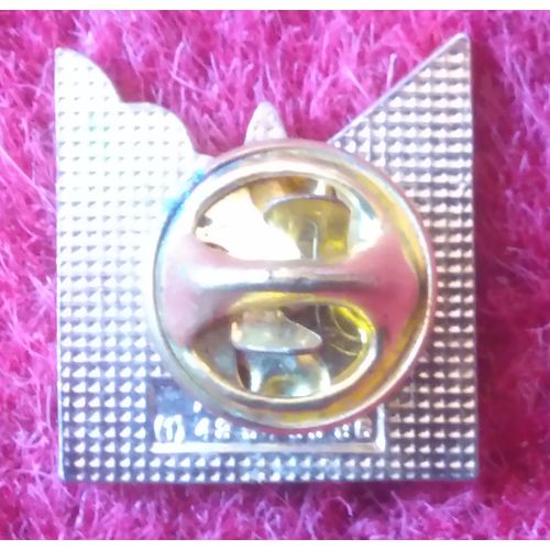 Pin Badge, Metal & Enamel: Ecole Corentin Caer