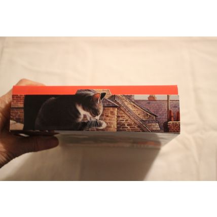 CATS ON THE LEDGE 300 PIECE PUZZLE SEALED IVORY CATS