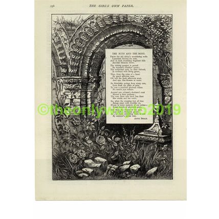 Ruin & the Rose Illustrated Poetry Anne Beale, Book Illustration (Print), 1881/2