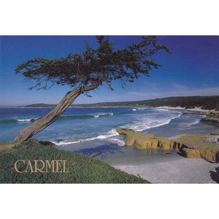 Carmel Beach California United States Postcard used VGC