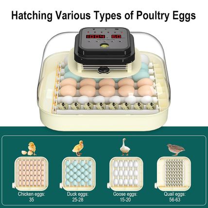35 Egg Incubator with Automatic Egg Turning and Humidity Control, Incubator for