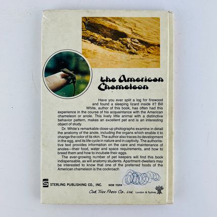 The American Chameleon William White Sterling Nature Series Hardcover Book 1977