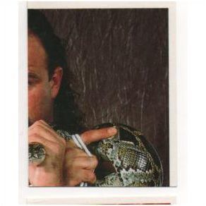 Merlin WWF 1990 World Wrestling Federation sticker #192 Jake "The Snake" Roberts