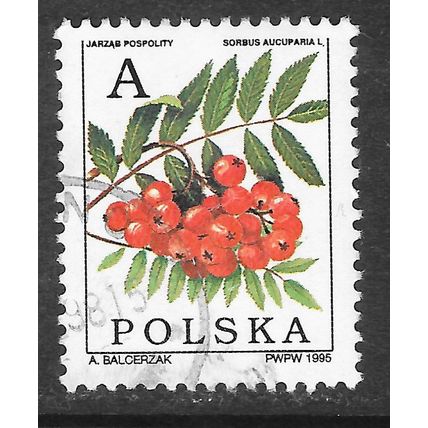 POLAND 1995 RED BERRIES POSTAL RATE A ROWAN TREE USED