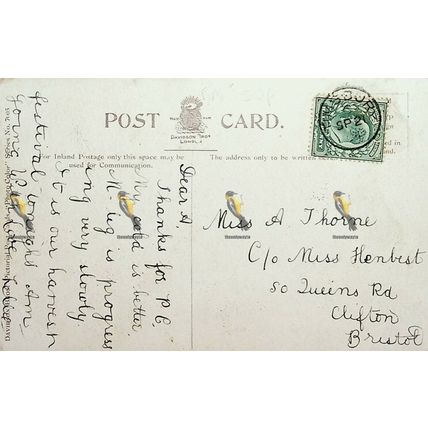 Brighton, Palace Pier, 7005 Davidson, Postcard, 1904