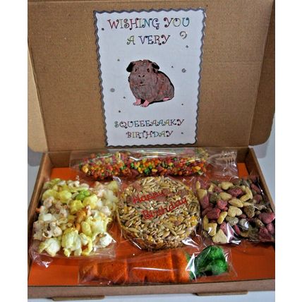 GUINEA PIG BIRTHDAY BOX DECORATED BOX FILLED WITH TREATS FOR A SQEUAKY BIRTHDAY