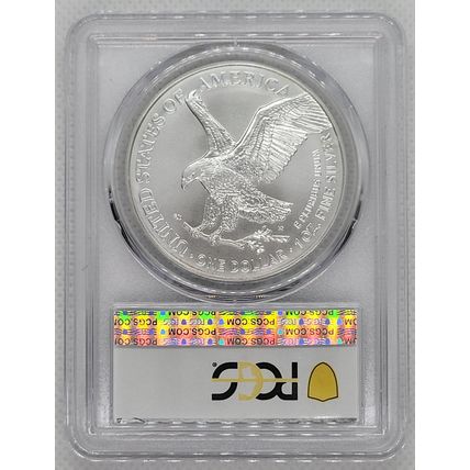 2025 (P) American Silver Eagle with Eagle Privy PCGS GEM BU First 50,000 Issued