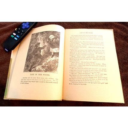Old Vintage Animal Book # 0501 Animal Stories Series Charles E Graham & Co