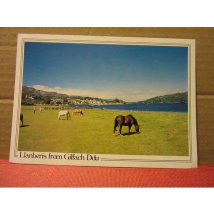 LLANBERIS, from GILFACH DDU, WALES unused postcard HORSES =