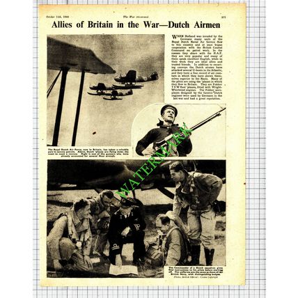 Royal Dutch Air Force World War Two - 1940 Cutting