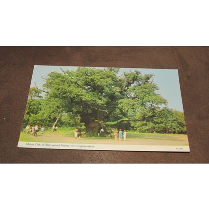 1980s ETW Dennis Postcard -Major Oak, Sherwood Forest - Nottinghamshire
