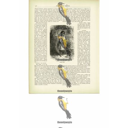 Cafuzo Girl, Amazon Forest, Brazil, Book Illustration (Print), c1880