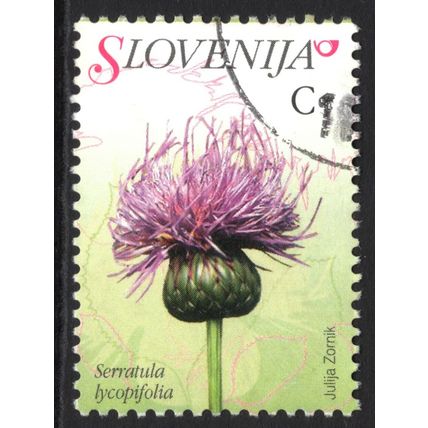 SLOVENIA 2007: FLORA - C SERRATULA LYCOPIFOLIA USED (G20)