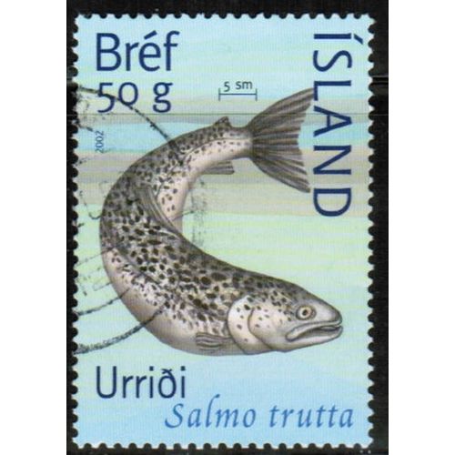 2002 Iceland Sc# 971 used - Freshwater fish 50g